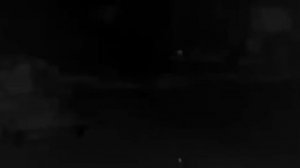 20260210 Поздно вечером пришел какой-то зверек, успели разглядеть горящие глаза. Заяц?