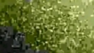 Играю в Майнкрафт