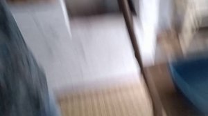 Очередная находка в Избе 🥰