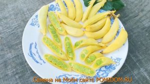 Такого Ещё ни у кого НЕТ! ИМПЕРАТОРСКИЙ Золотой СНЕП Горох! Знакомьтесь!