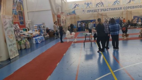 АТАМИ ОРФЕЙ