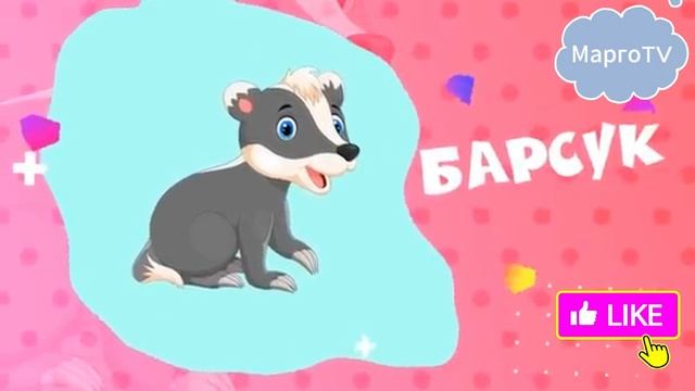 Кто в вольере живёт? 🦊🐧 Морские котики, лесные жители и другие! Чем их угощают в зоопарке? смотреть онлайн