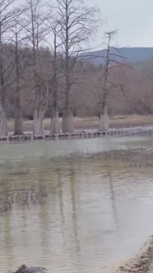 Кипарисовое озеро Сукко 1 Февраля 2026...вода...