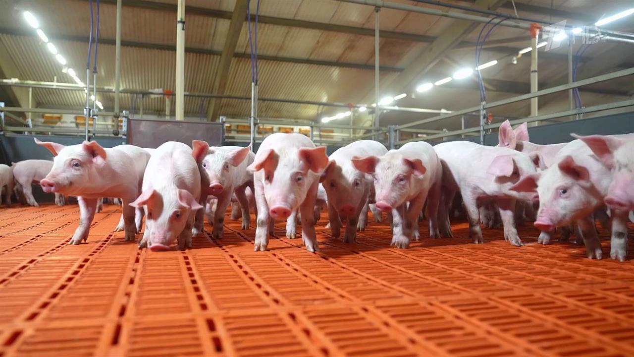 Россельхозбанк за 25 лет направил в агропромышленный комплекс более 19 трлн рублей. смотреть онлайн