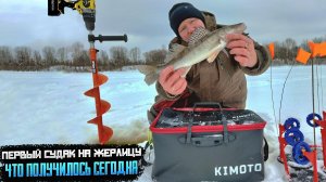 Зимняя Волга: как жерлицы принесли мне судака. Не поверил глазам! Такого улова на жерлицы я не ждал