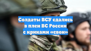 Бойцы ВСУ сдались в российский плен с криками «свои»
