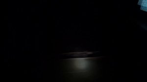 Квест-перфоманс "Дом людоедов"