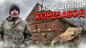 Заброшенный конезавод Цвион. Тракены и пожар.