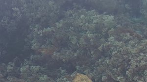 оз.Теплое. с.Суводь