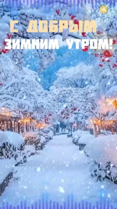 С добрым зимним утром