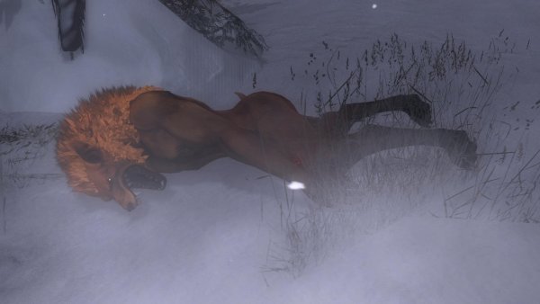 theHunter Classic - 2026-02-09 19-33-45
