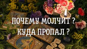 Почему молчит ? Куда пропал ?