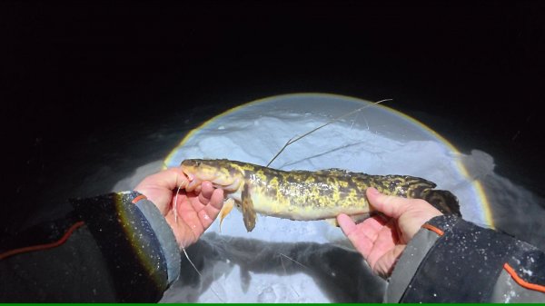 Рыбалка с ночевкой на реке Етыпур.