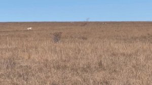 Федора. 10.02.26.