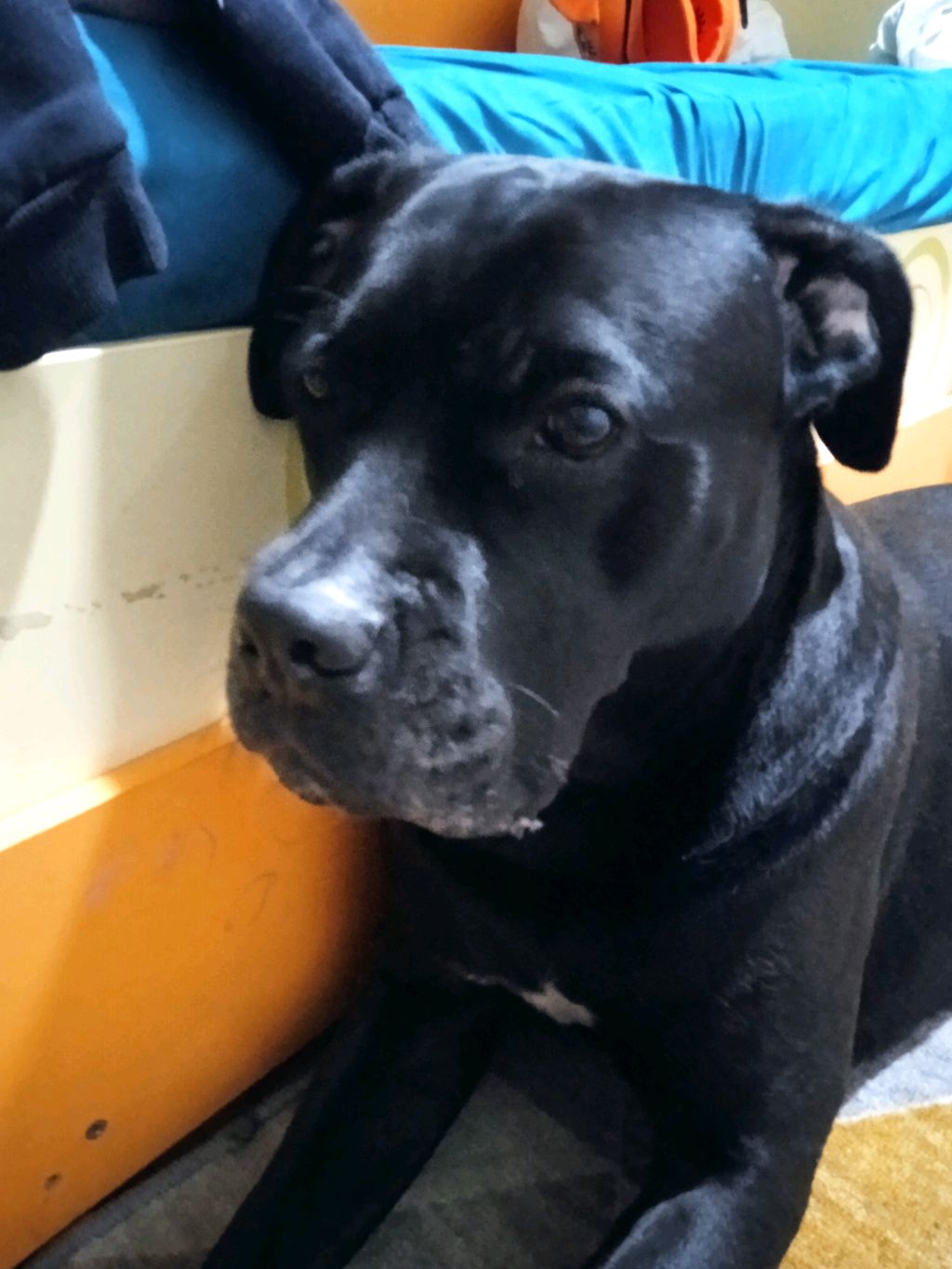 Тима смотреть онлайн