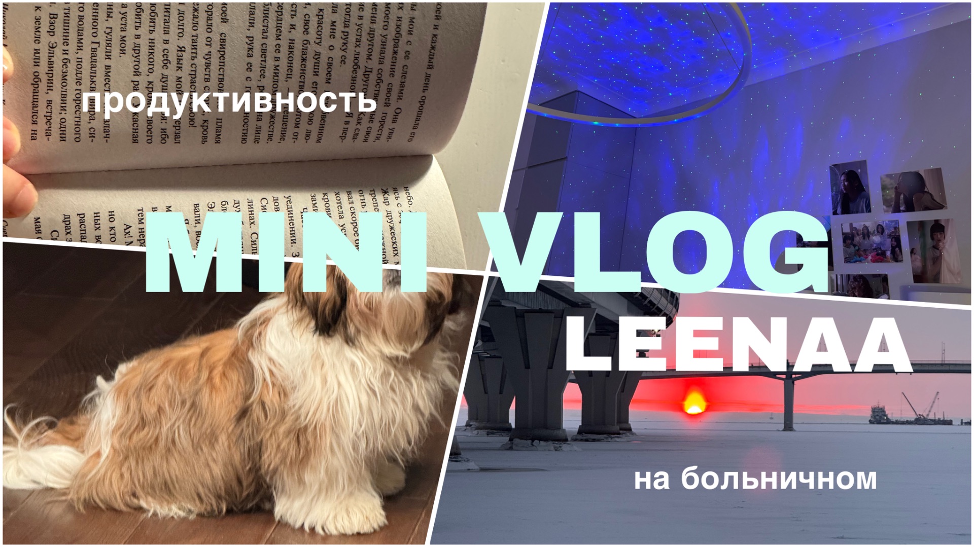 MINI HOME VLOG || LEENAA || продуктивный тихий влог🪴✨ смотреть онлайн