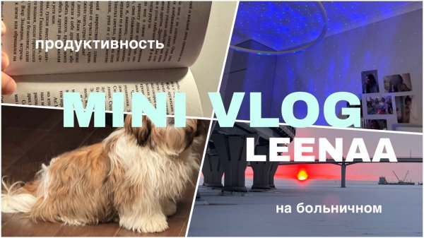 MINI HOME VLOG || LEENAA || продуктивный тихий влог🪴✨