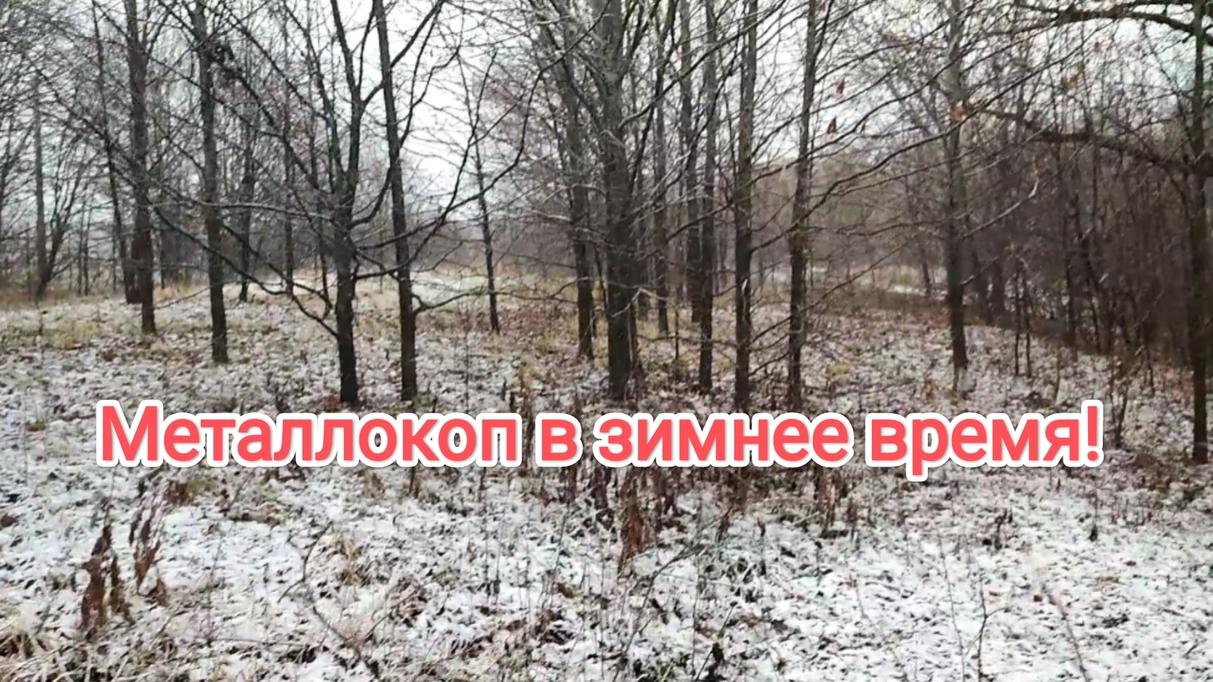 Хороший итог по находкам рядом с домом!!! смотреть онлайн