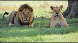 Всё делаем по очереди