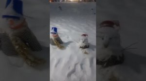 Рубрика "Прогулка с  зимой"