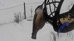 Поползень! Явление поползня!