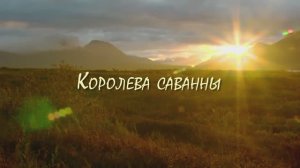 Королева саванны