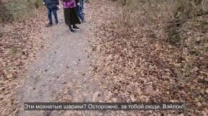 Ep.377 This Simple Family Walk Became the Best Part of Our USA Vacation (Russian Subtitles)