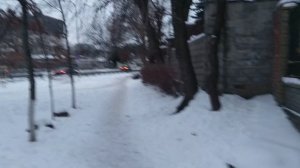 Зимние хроники