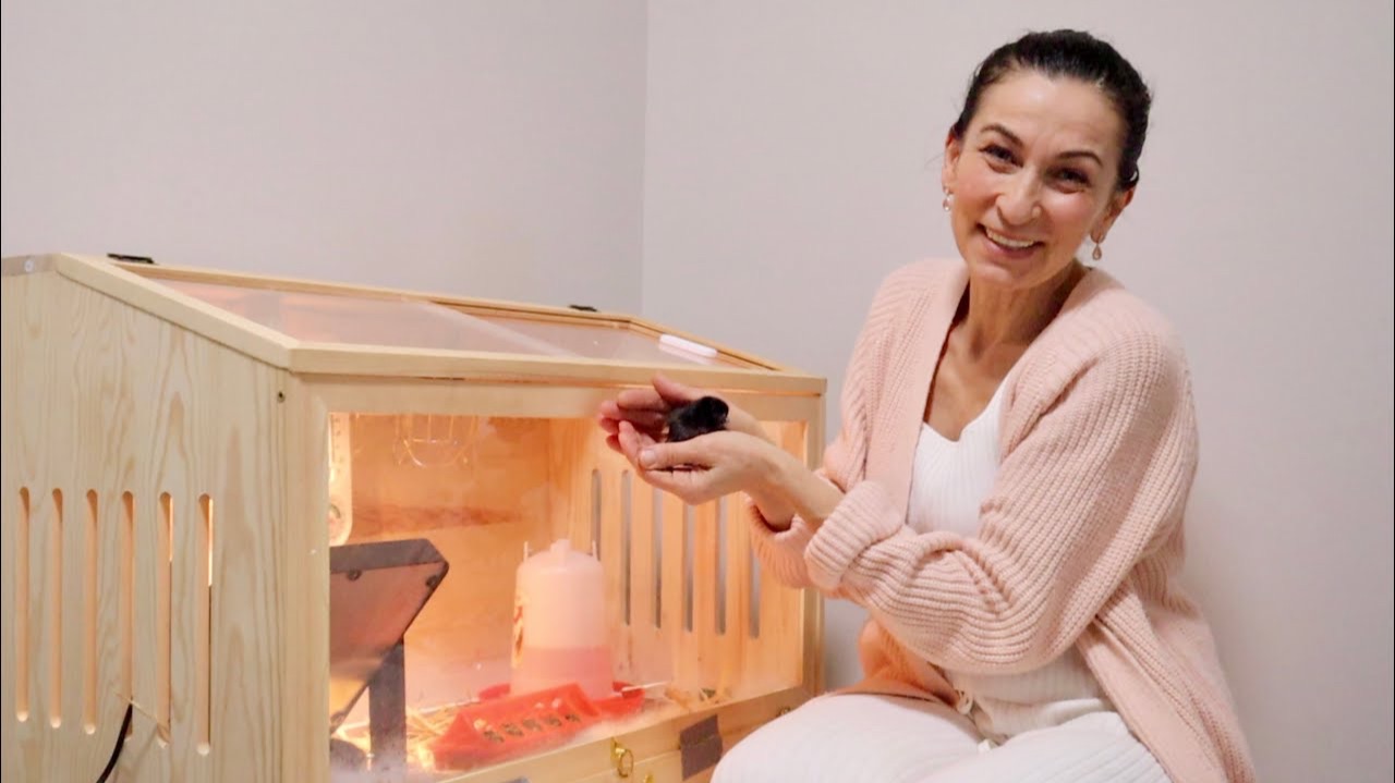 Экстремальный День | Черные Цыплята 🐥 | Пробуем Вкусняшки | Семейный Влог Эгине смотреть онлайн