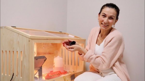 Экстремальный День | Черные Цыплята 🐥 | Пробуем Вкусняшки | Семейный Влог Эгине