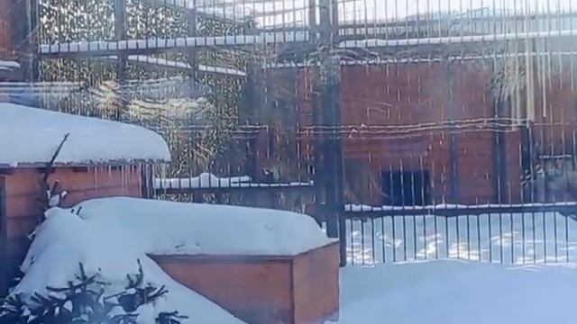 090226г Водички попить и к окошкуКИАРА смотреть онлайн