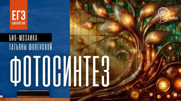 Mosaic-03-Photosyntesis