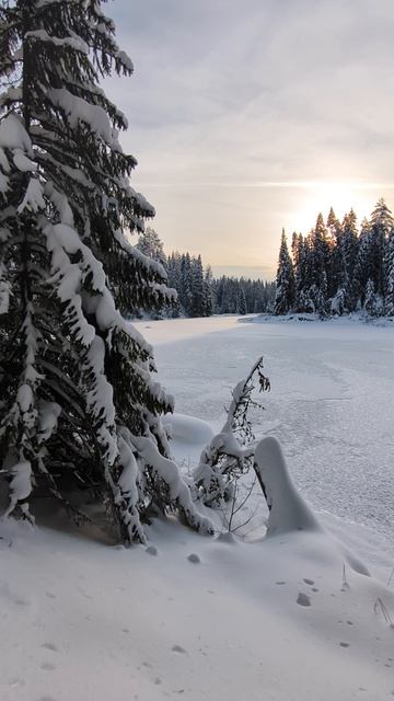 оз.Теплое. с.Суводь