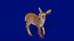 оленеок 04_encoded