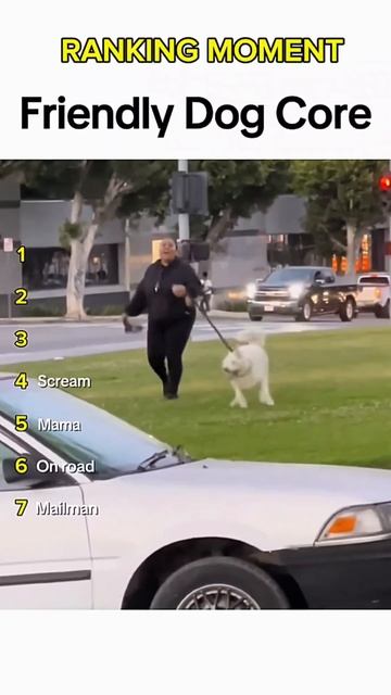 Dogs being idiots part 334 😂_ Funny dogs compilation #funnydog #funnypet #cuted смотреть онлайн