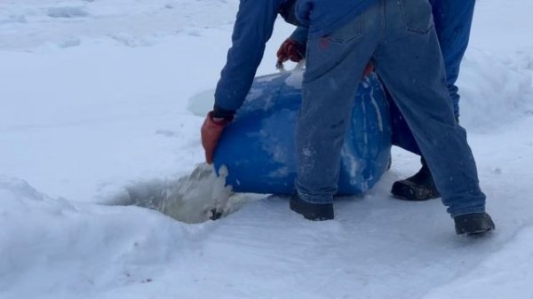 Запуск форели