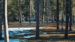 Квартиры в Архызе. Ход строительства ЖК комфорт-класса «Горы здесь» в январе 2026 года