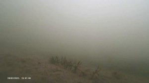 Подводная съёмка, Озеровка, 20.02.25 г.