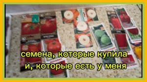 9/2 26 РАСТРЁПКИ И СЫРНИКИ. КУПИЛА СЕМЕНА. ЖАДНОСТЬ ФРАЕРА СГУБИЛА. БИТЬ ПО РУКАМ.
