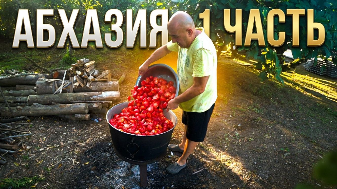 Абхазия 2025 | Дорога | Сбор урожая | 1 часть смотреть онлайн