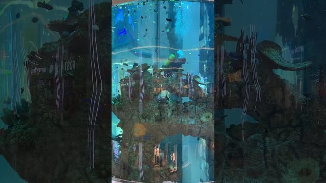 Аквариум в ТЦ Москва ЦСКА