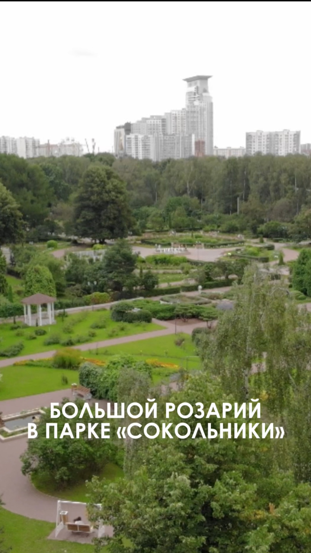 БОЛЬШОЙ РОЗАРИЙ В ПАРКЕ «СОКОЛЬНИКИ»