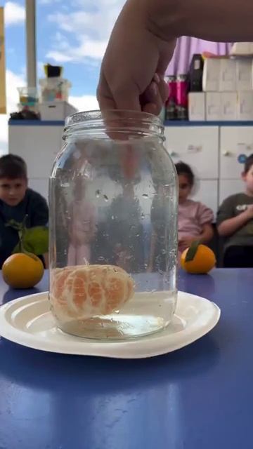 Достань мандаринку! смотреть онлайн