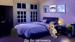 Эль гато 1 серия 1 сезон