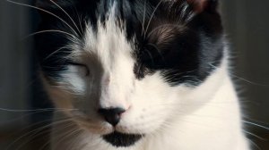 Игра в прятки 2. Слова Ольги Шмаковой (Белашевой)улучшенный вариант