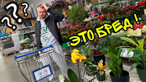 ВЛОГ ! Бауцентр чуть не разочаровал! Купили семена