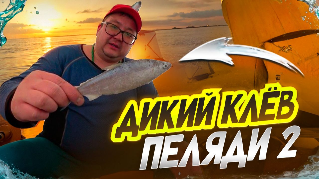 ДИКИЙ КЛЕВ ПЕЛЯДИ ЗИМОЙ. ПОЧЕМУ ПЕЛЯДЬ НЕ КЛЮЕТ? ГЛАВНЫЙ СЕКРЕТ РАСКРЫТ. ЗИМНЯЯ РЫБАЛКА 2026. смотреть онлайн