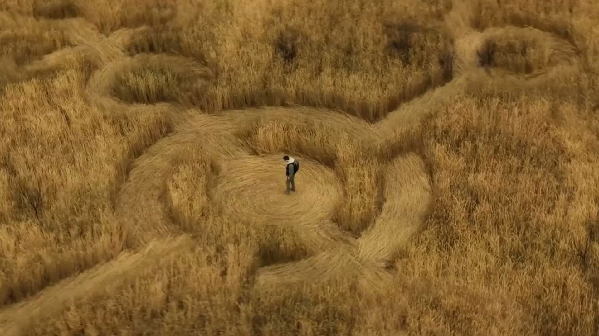 ДЕНЬ РАЗОБЛАЧЕНИЯ смотреть онлайн