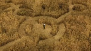 ДЕНЬ РАЗОБЛАЧЕНИЯ