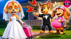 Щенячий патруль и Маршалл. Залипательное видео. Мультфильм для детей и малышей. Анимация 206